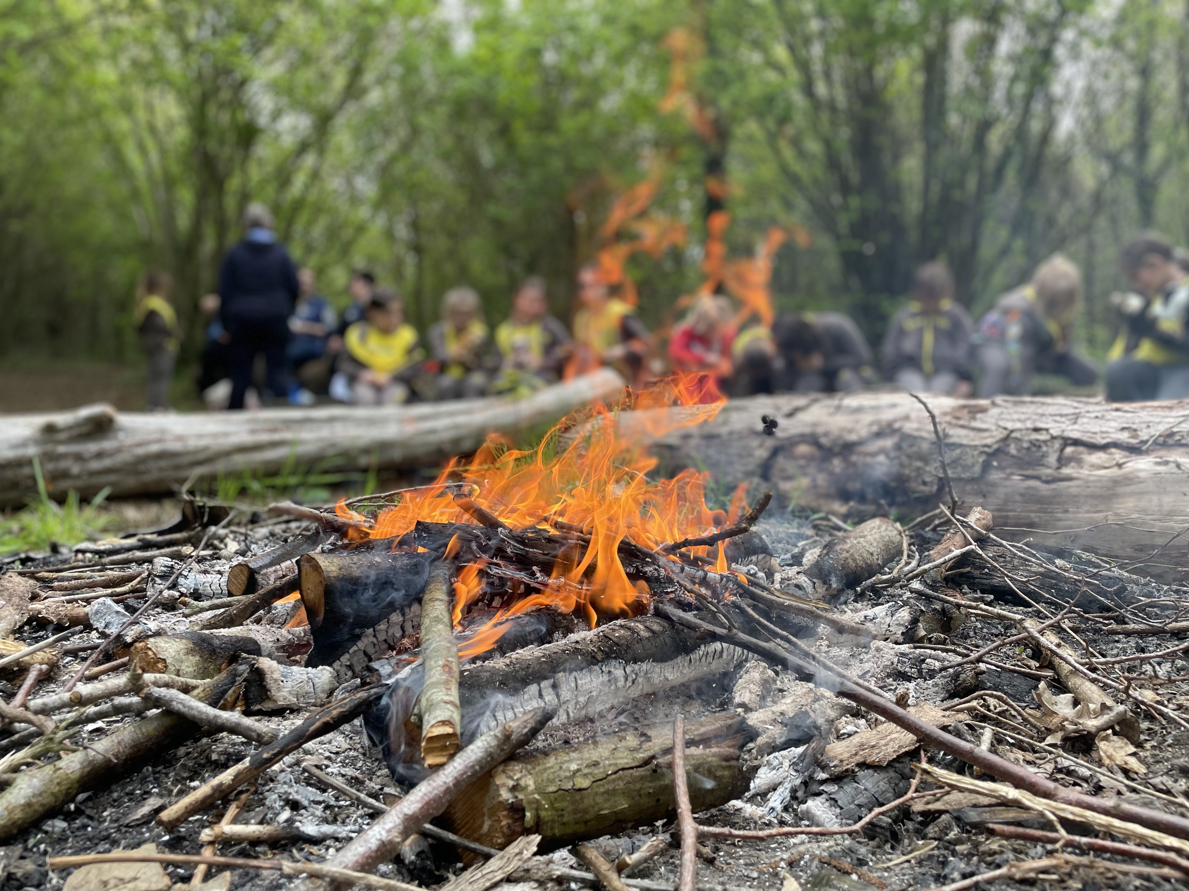 Daytime campfire with Rainbows and Brownies.