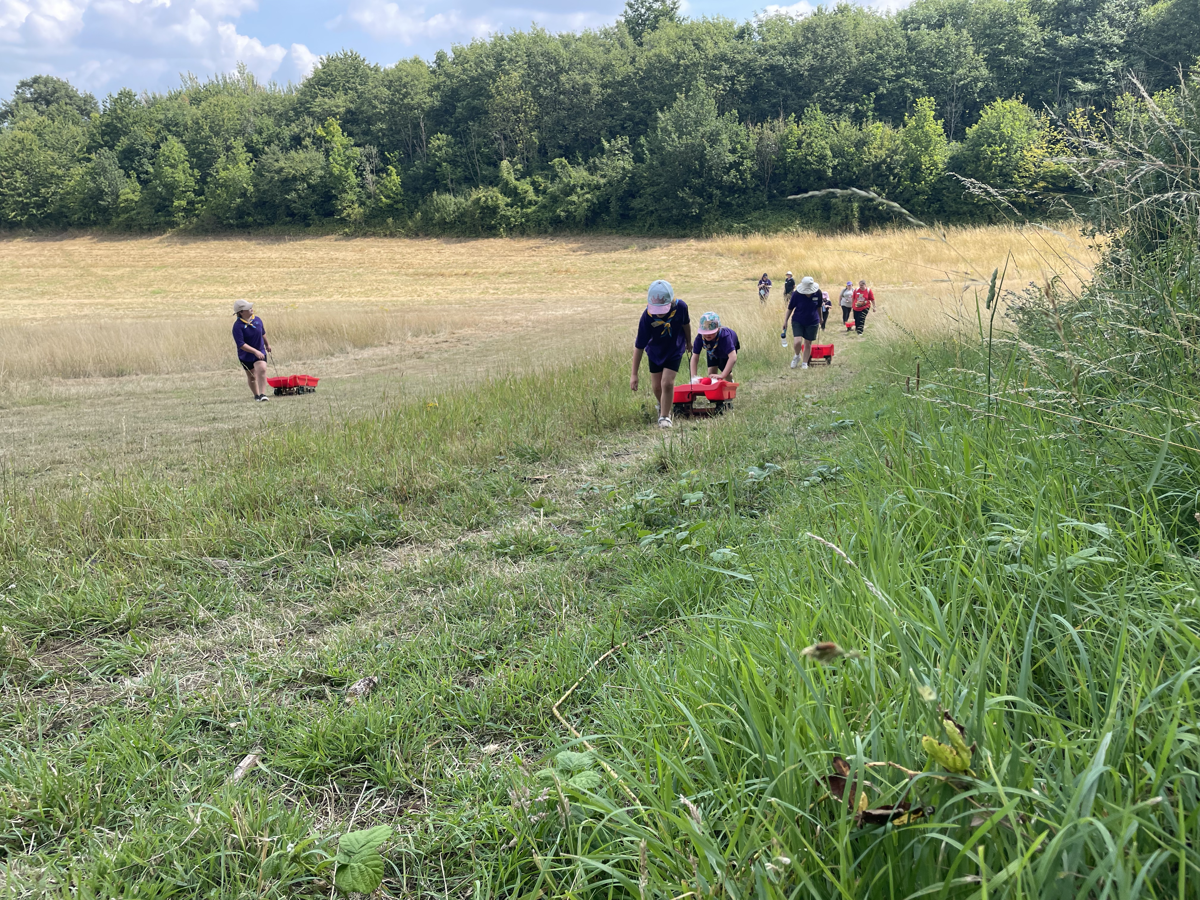 Grass sledging. Pulling sledges back up the hill.