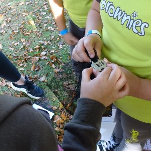 Brownies unlocking a combination padlock with a 3-digit code.