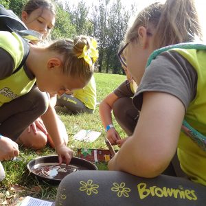 Brownies making a compass with a magnet, needle, leaf and a puddle.