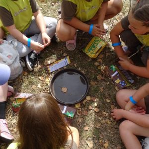 Brownies making a compass with a magnet, needle, leaf and a puddle.