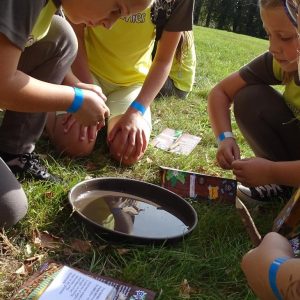 Brownies making a compass with a magnet, needle, leaf and a puddle.